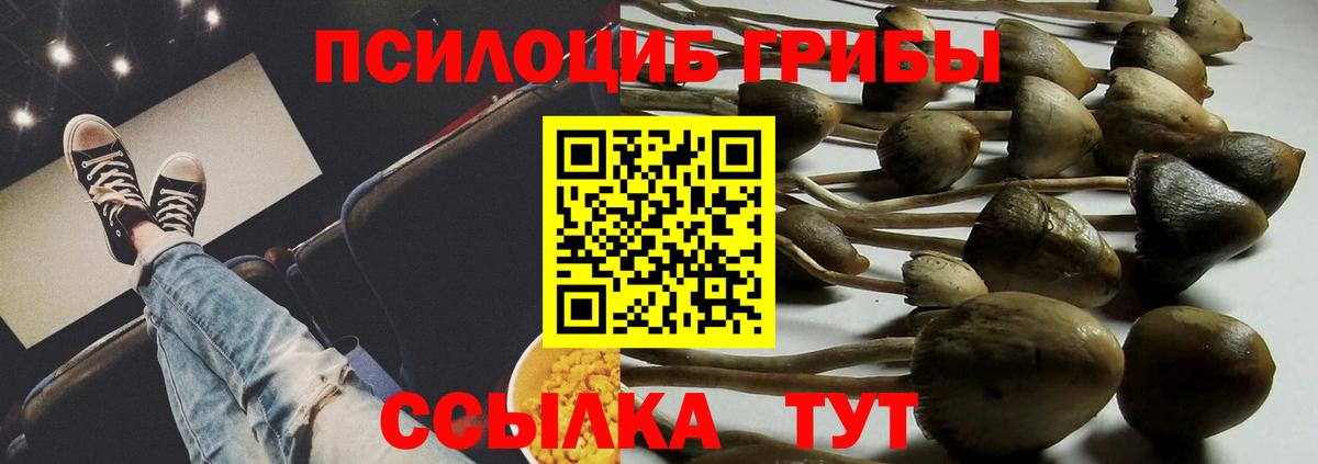 Галлюциногенные грибы мицелий  Вход с VPN  Менделеевск 
