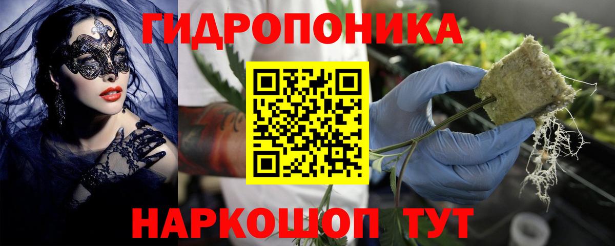 Конопля OG Kush Менделеевск
